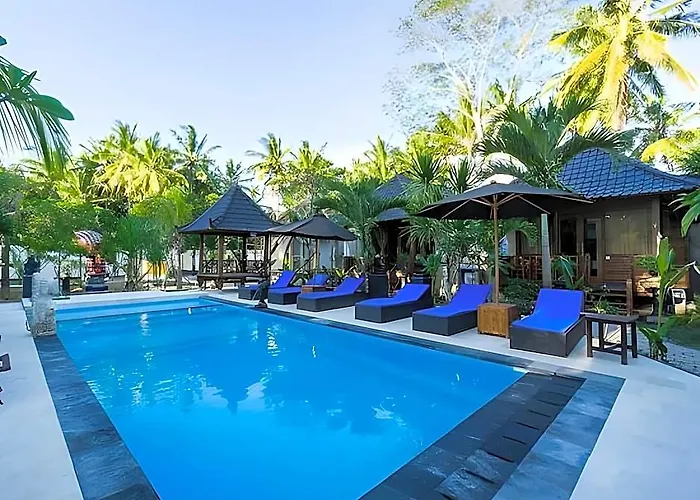 Hotel D'camel