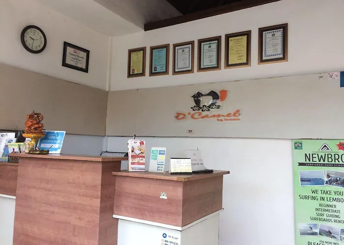 D'camel 2* Nusa Lembongan